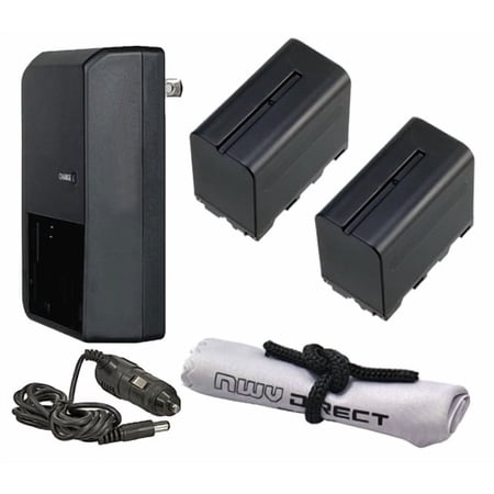 Sony HXR-NX100 Intelligent Batteries (2 Units) + AC/DC Travel Charger + Microfiber Cloth