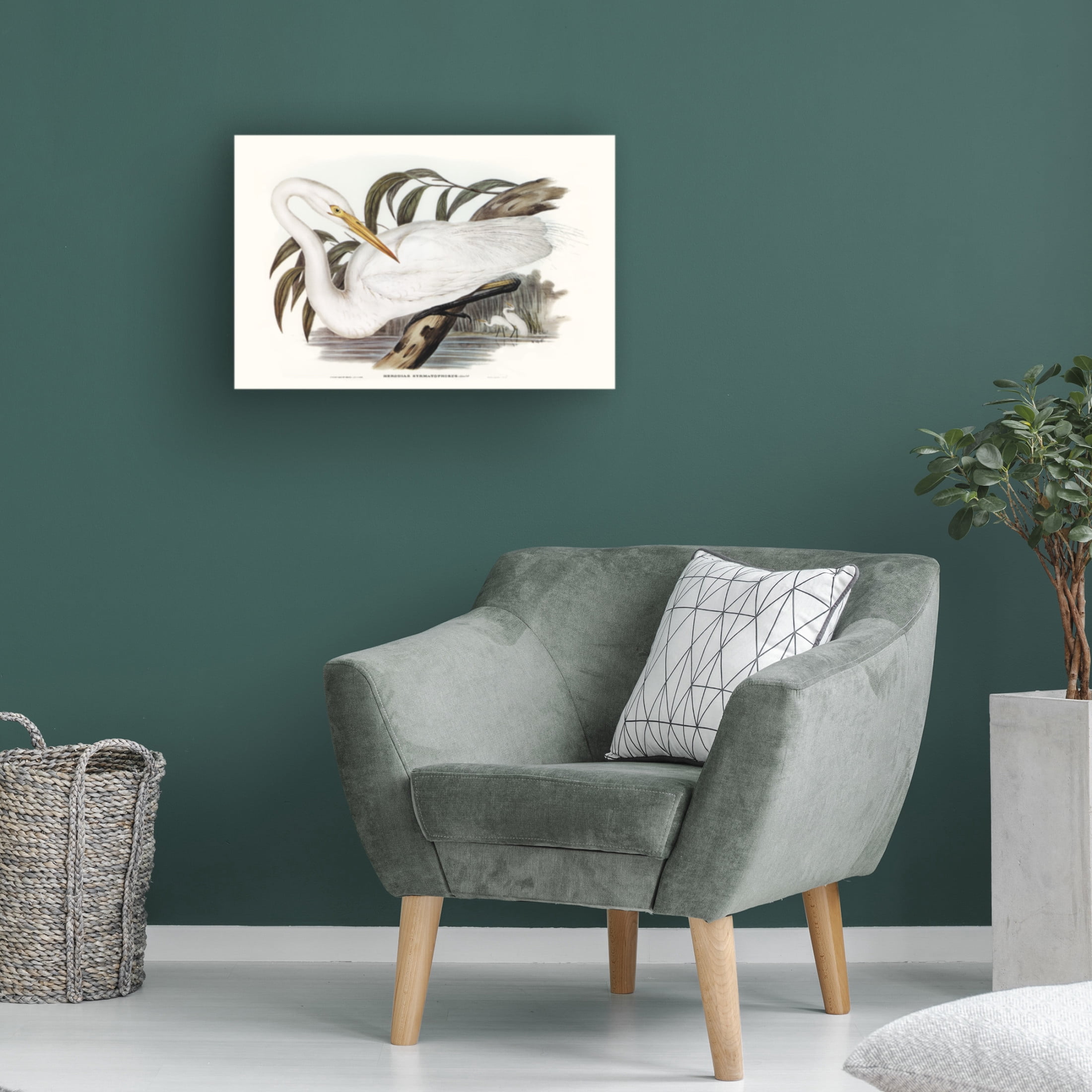 Trademark Fine Art Elizabeth Gould  Majestic Waterbird I Canvas Wall Art