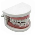 thumbnail image 3 of Teeth Protectors Dental Mouth Grinding Night Sleeping Molar Guard Bruxism, 3 of 4
