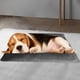 thumbnail image 4 of Cama ortopédica para perros, de espuma, lavable a máquina, disponible por ambos lados, con base antideslizante, cómoda y suave colchoneta para mascotas., 4 of 7