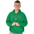 thumbnail image 2 of Alaska Stenciled Bear Distressed Hoodie Sweatshirt Women Men Brisco Brands L, 2 of 2