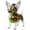 02#Chihuahua, variant on Bxaolu French Bulldog Candy Jar, Cute Airtight Dog Snack Container for Cookies, Candy, Pet Treat Jar, Glass Cookie Jar with Lid, Clear Food Storage for Kitchen, Pet Lovers Gift