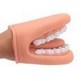 thumbnail image 1 of Teeth Care Model, Mouth Hand Puppet Silicone with Tongue for Kids Teaching, 1 of 7
