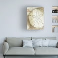 thumbnail image 3 of Grace Popp 'Dry Sand Dollar II' Canvas Art, 3 of 4