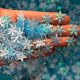 thumbnail image 4 of 200pcs 300pcs lots Christmas Snowflakes Confetti Artificial Snow Xmas Tree Ornaments Decorations for Home Party Wedding Decor, 4 of 5