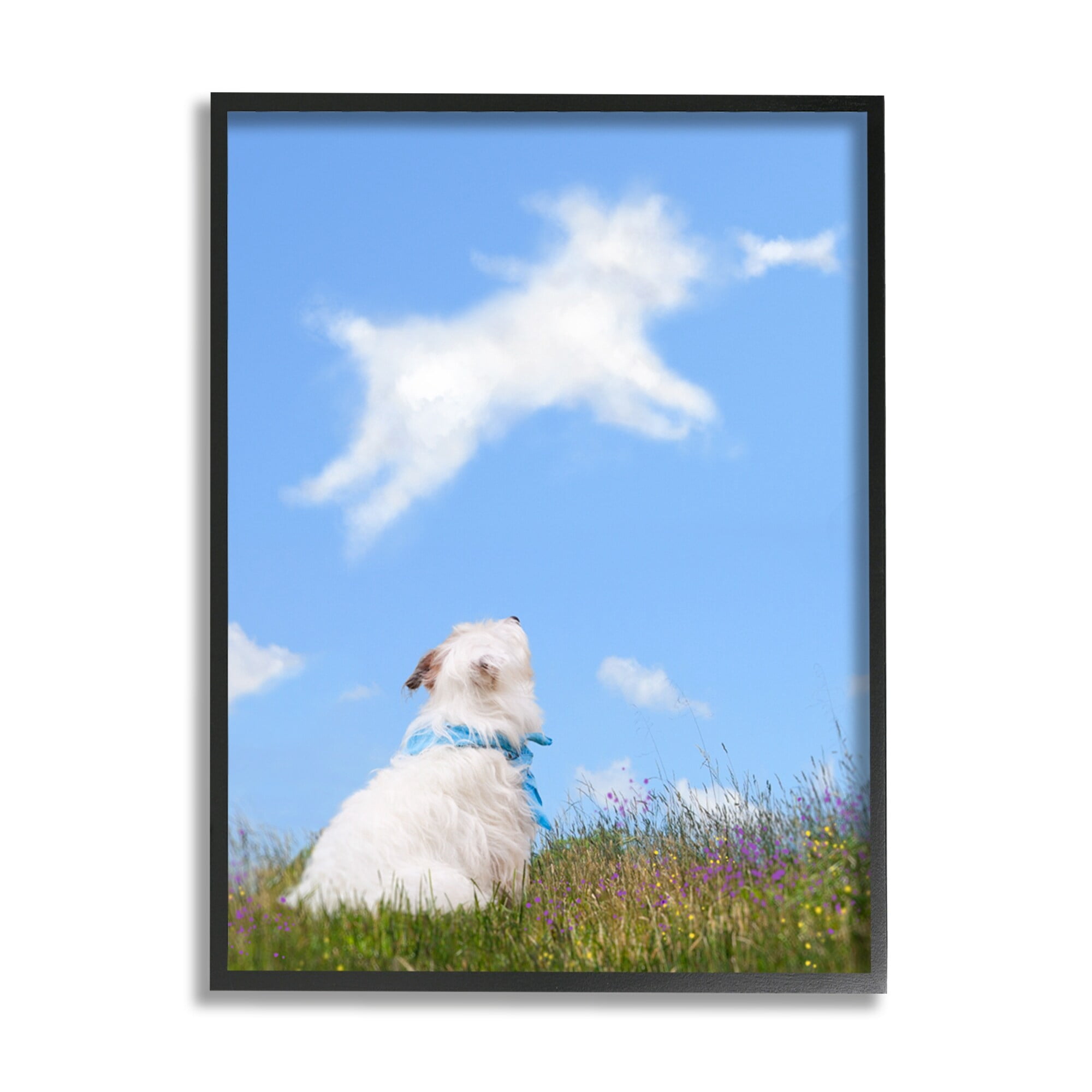 Stupell Industries White Dog Watching Shaped Clouds Chasing Bone Graphic Art Black Framed Art Print Wall Art, Design by Michael Quackenbush