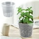 thumbnail image 2 of Maceta transparente para vivero (5 unidades), apta para interior y exterior, universal., 2 of 6