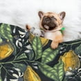 thumbnail image 3 of Naloa Citrus Fruits Elegant Lemons Dog Blanket, 3 Sizes Cat Blanket for Indoor Cats Large Medium Small Dog Gifts-Medium, 3 of 8