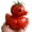 A, variant on Vegetable Duck Resin Figurine Set Potato & Cabbage, Desk Decor for Office Car Dashboard Home Shelf Gift