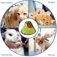thumbnail image 4 of Collier de Récupération pour Chat et Chien Ladybird Beetles Ajustable Cône de Chat après Chirurgie Protection après Chirurgie pour Chatons après Chirurgie, 4 of 7