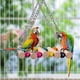 thumbnail image 2 of 18 Pieces Bird Toys Set Parrot Swing Chewing Toy Hanging Ock Perch Ladder Brid For Conure Finch Nah Bird, 2 of 4