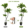 thumbnail image 3 of Accreate 5-Foot Artificial Black Olive Tree with Built-in LED Lights – Tall Fake Indoor Plant in Plastic Nursery Pot, Realistic Faux Tree for Home, Office, and Living Room Decor, 3 of 9
