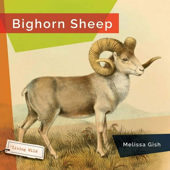 Living Wild Bighorn Sheep, (Hardcover)