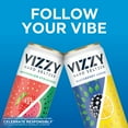 thumbnail image 5 of Vizzy Variety Pack, 12 Pack, 12 fl oz Aluminum Cans, 5% ABV, 5 of 6