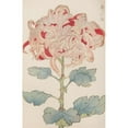 thumbnail image 2 of Keika Hasegawa 13x18 Black Ornate Wood Framed Double Matted Museum Art Print Titled - Keika Hyakugiku, Pl.13 (1893), 2 of 5