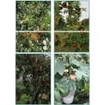 thumbnail image 2 of Fruit Protect Bags 100Pcs Pulp Paper Garden Plant Fruit Protection Cover Bags Fruit Tree Bags with Wire for Plant Fruit Flower Vegetables Yellow 180*220mm, 2 of 5