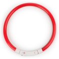 thumbnail image 1 of Collier pour Chien Rechargeable LED Clignotant Lumineux de Nuit avec Collier pour Chiots, 1 of 5