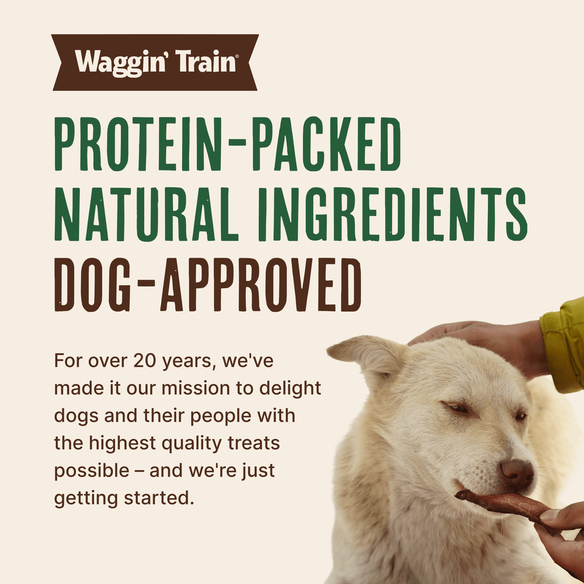 Waggin' Train High Protein Chicken Jerky Dog Treats,  30 oz. Pouch