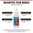 thumbnail image 4 of Morning Bird Calcium Plus Liquid for Birds 2 Fl Oz – Bird Vitamins for Strong Eggshells, Healthy Bones, and Baby Bird to Support Growth, Breeding, and Wellness for All Birds, 4 of 7