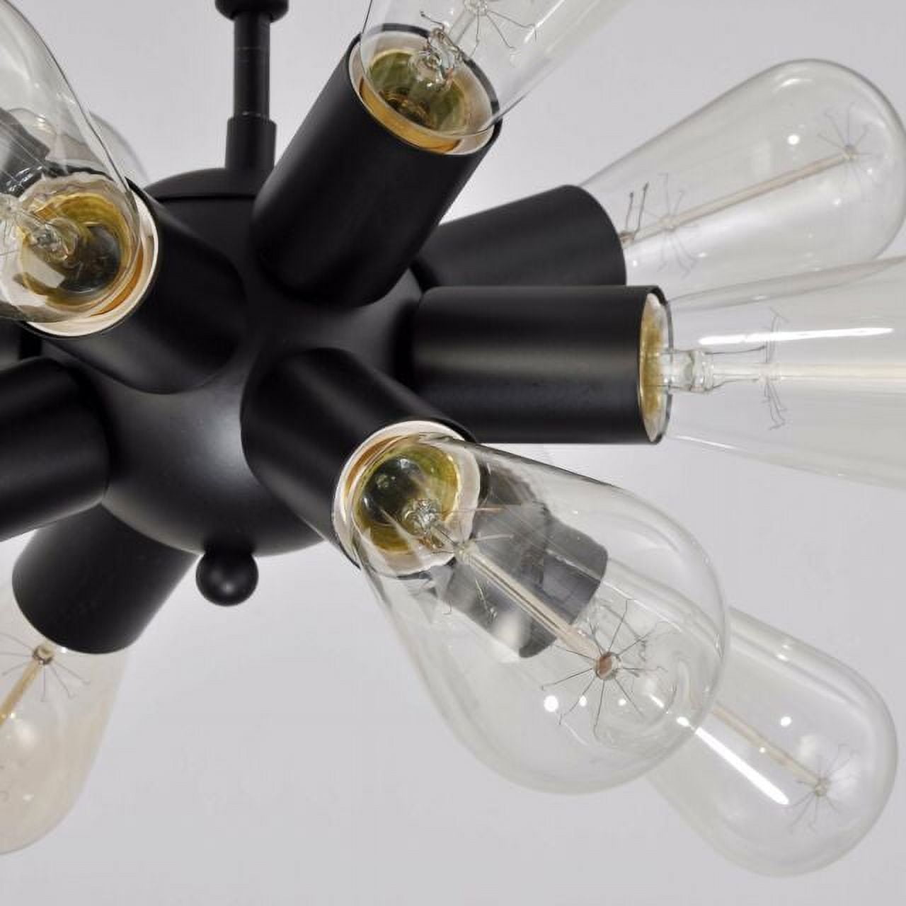 Modern Metal Hanging Ceiling Chandelier With 12 Lights Black finish