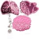 thumbnail image 1 of Cute Badge Reel Retractable Badge Buckle for Nurses 3Pcs Pink Portable Holders, 1 of 4