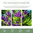 thumbnail image 3 of PHATOIL Clove Essential Oils 100% Pure for Skin Care, Bath, Sleep, Relaxation, Christmas Gift - 3.38 fl.Oz, 3 of 7