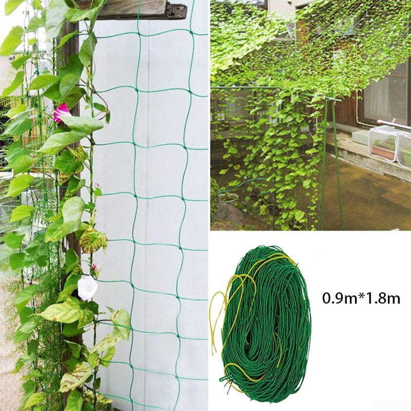 Green Garden Vegetable Trellis Netting Support For Climbing Bean Plant Vines New 