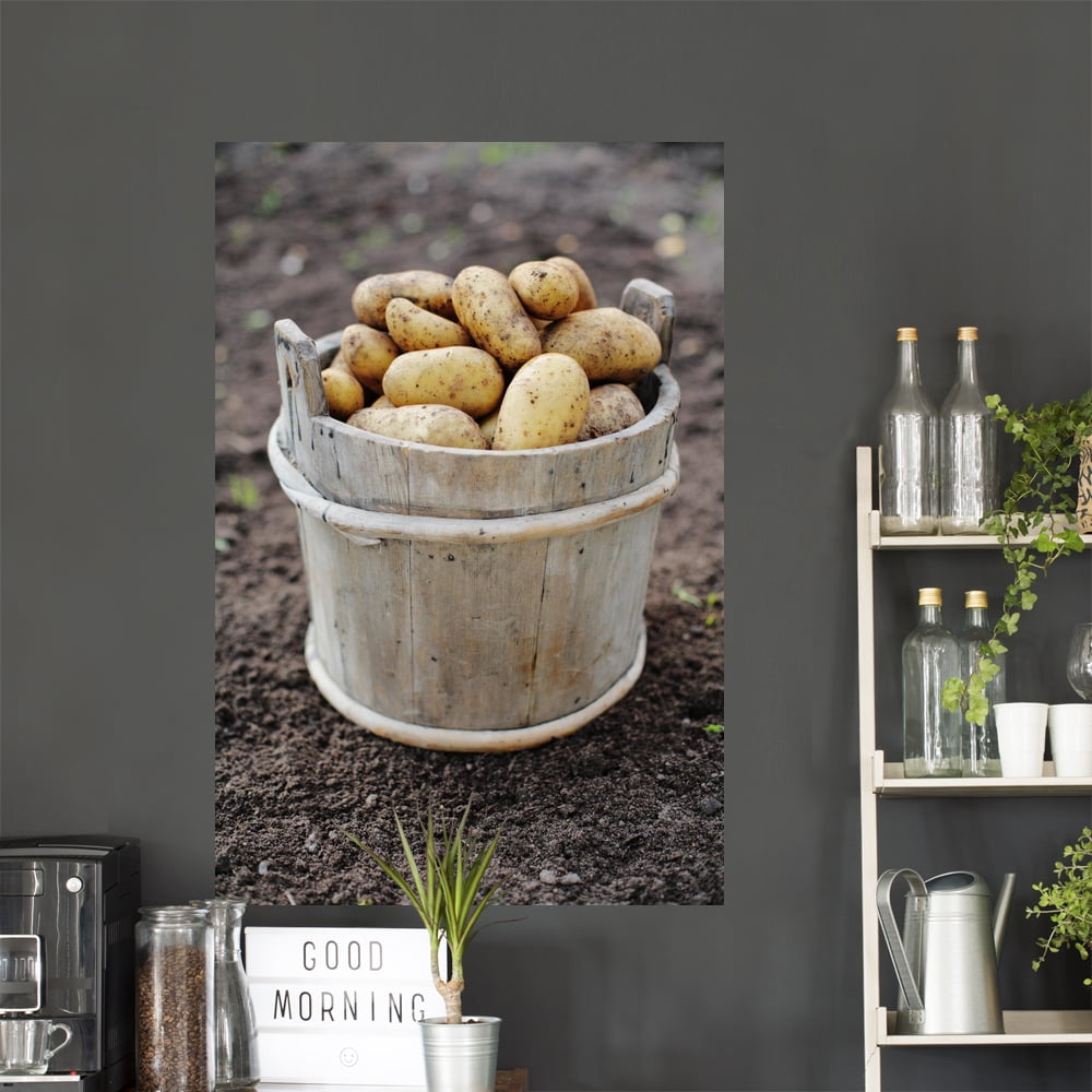 Harvested Potatoes Old Wooden Wall Mural Decal by Wallmonkeys Vinyl