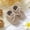 hwj# Khaki72, variant on Huowey Baby Toddler Walking Shoes Solid Color Lace Up Knitted Soft Sole Booties Indoor Outdoor Breathable Cozy Crochet Crib Slippers Fashionable Slipper Barefoot Shoes,Coffee,9-12 Months