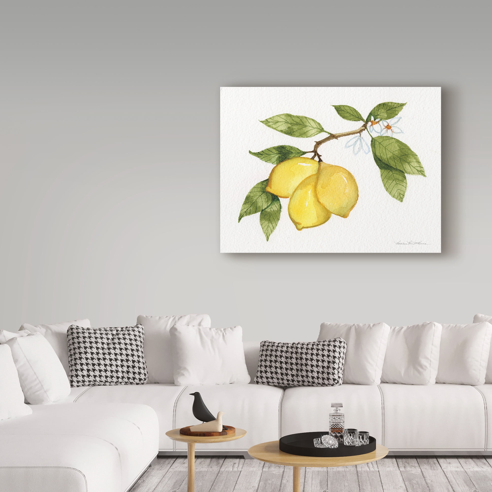 Trademark Fine Art 'Citrus Garden I' Canvas Art by Kathleen Parr McKenna