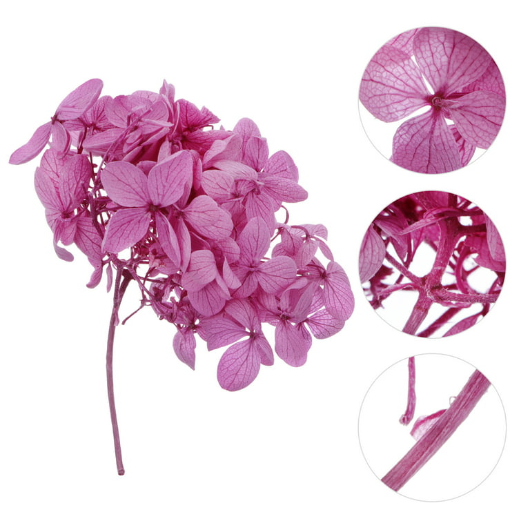 1 Box Natural Dried Hydrangea Flowers Immortal Flowers DIY Craft
