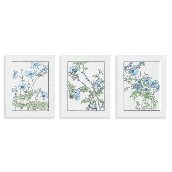 Stupell Industries Wild Blooms with Detailed Outlines 3 Piece Wall Plaque Art Set design by CAD Designs, 14 x 11