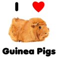 thumbnail image 3 of CafePress - I Love Guinea Pigs Men's Light Pajamas - Men's Light Loose Fit Cotton Pajama Set, 3 of 7