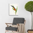 thumbnail image 2 of Bird Of Paradise Flower Plant Elegant Illustration Art Print Framed Poster Wall Decor 12x16 inch, 2 of 5