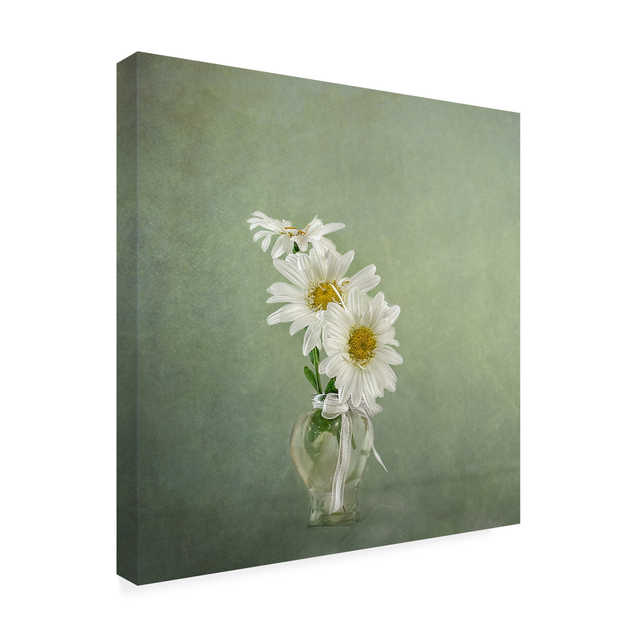 Canvas Wall Art - Katarina Holmstrom '3 White Daisies' Wall Art for Living Room, Bedroom, or Office Décor by Trademark Fine Art - 35 x 35 Inches