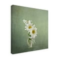 thumbnail image 4 of Canvas Wall Art - Katarina Holmstrom '3 White Daisies' Wall Art for Living Room, Bedroom, or Office Décor by Trademark Fine Art - 35 x 35 Inches, 4 of 4