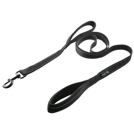 Soft &Thick Dual Handle Dog Leash, Premium Nylon Double Padded Handles 6FT Length for Medium, Large or XLarge Dog in 4 Vibrant Colors
