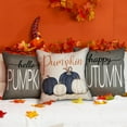 thumbnail image 6 of Fall Pillow Covers 18x18 Inch Fall Autumn Thanksgiving Ink Painting Blue Pumpkins Pillowcovers Cotton Linen DecorativeDecoration for Home Couch, 6 of 6