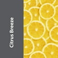 thumbnail image 2 of Zeiff All Purpose Cleaner and Deodorizer for Household Cleaning 1 Gallon, 2 of 7