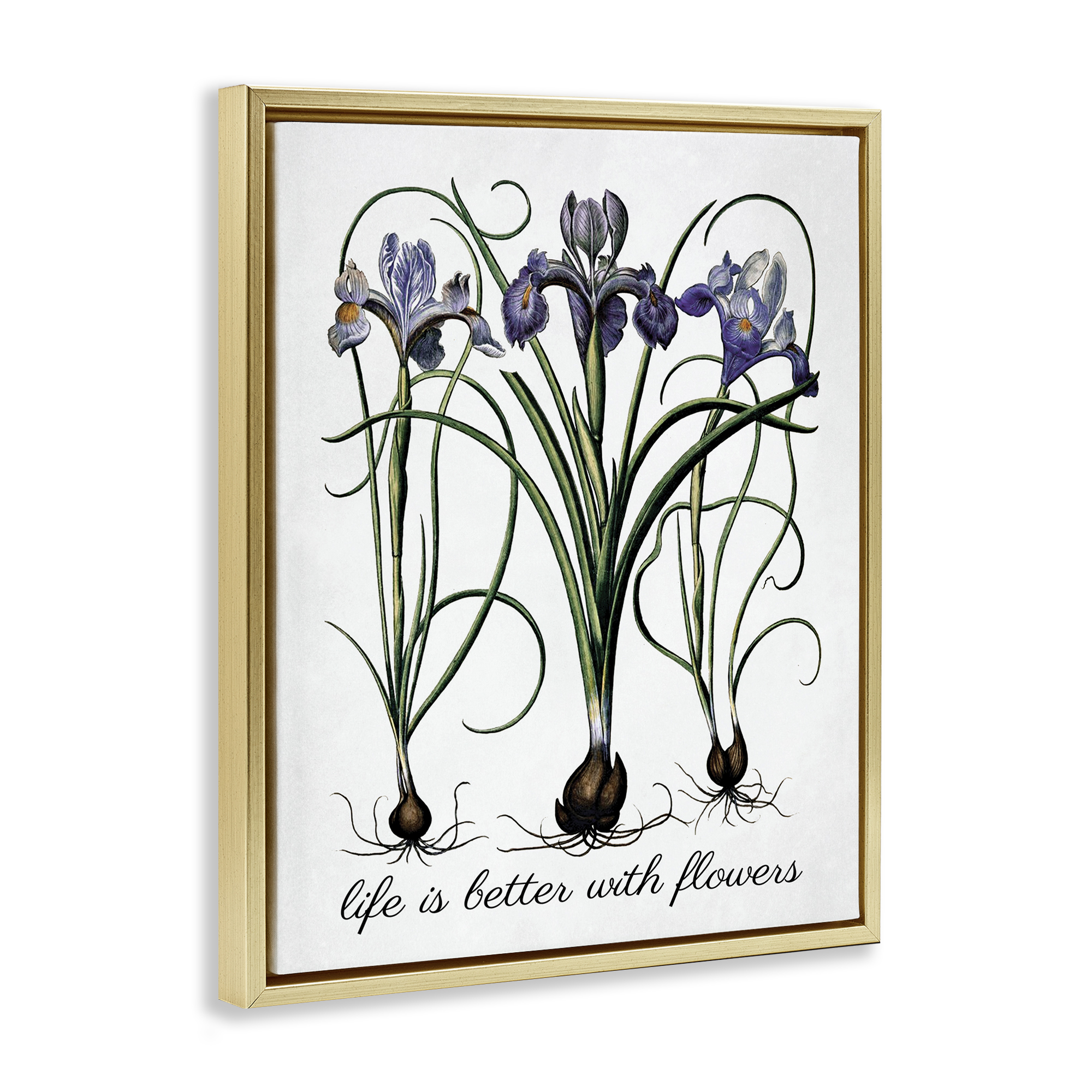 Stupell Industries Better With Flowers Botanical & Floral Painting Gold Floater Framed Art Print Wall Art, 17 x 21