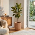 thumbnail image 3 of Ecobo 13.4 inches Eco-Friendly Round Pot Planter, Linhas Indoor/Outdoor use, Durable, Versatile & Lightweight, Designed by Brazilian Artisans, Contemporary All-Weather Design - Orange, 3 of 7