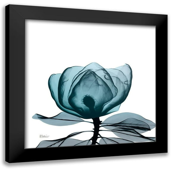 Koetsier, Albert 12x12 Black Modern Framed Museum Art Print Titled - Midnight Magnolia 1