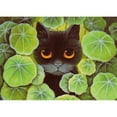 thumbnail image 1 of Taladro diamante pintura (DE4391) 5D DIY hoja de loto completo gato punto de cruz bordado 30x40cm FLhrweasw Nuevo, 1 of 1