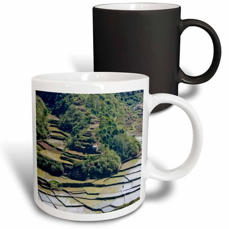 

3dRose Rice Terraces Agriculture Banaue Ifugao Philippines - AS29 KSU0169 - Keren Su Magic Transforming Mug 11oz