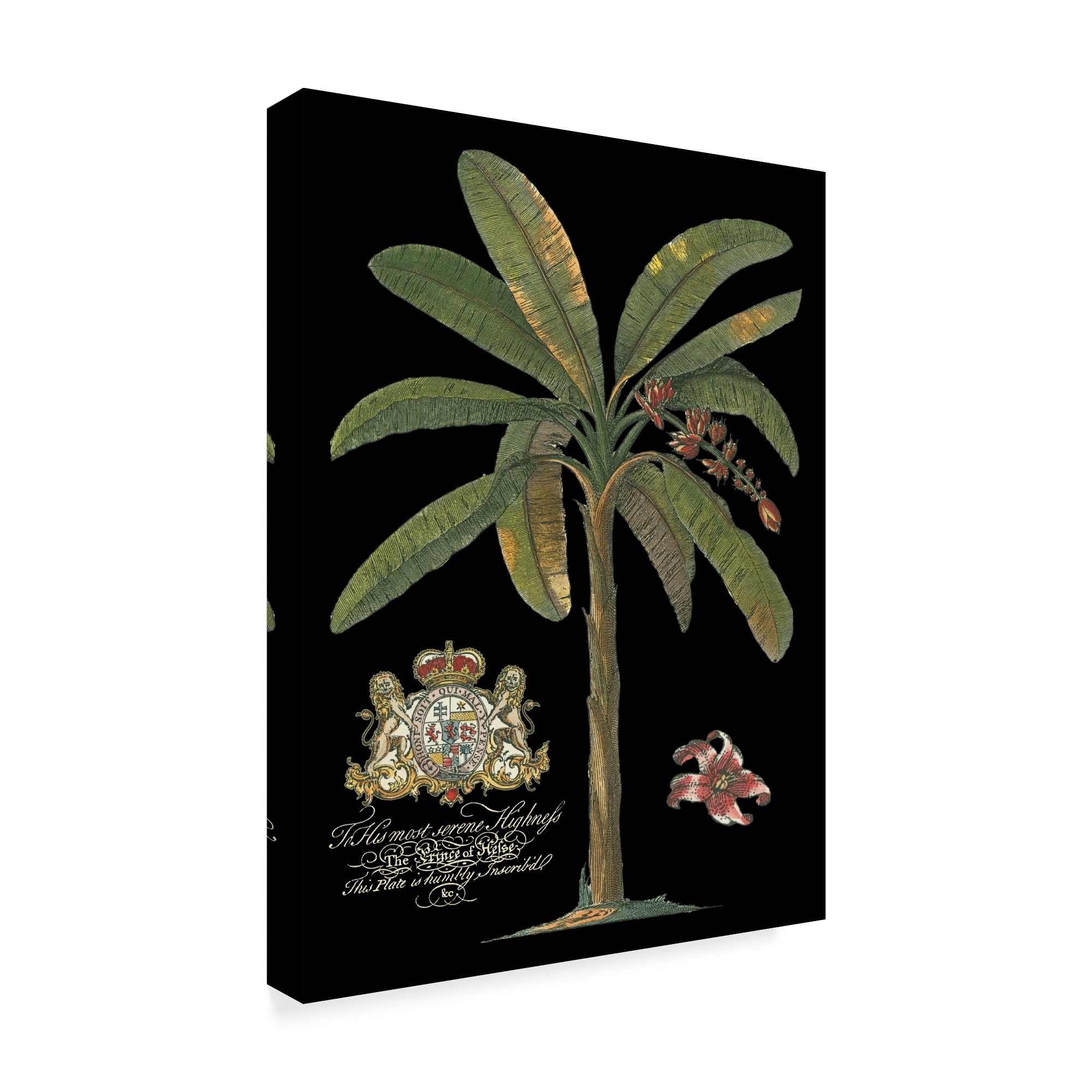 Trademark Fine Art 'Palm on Black II' Canvas Art by Unknown