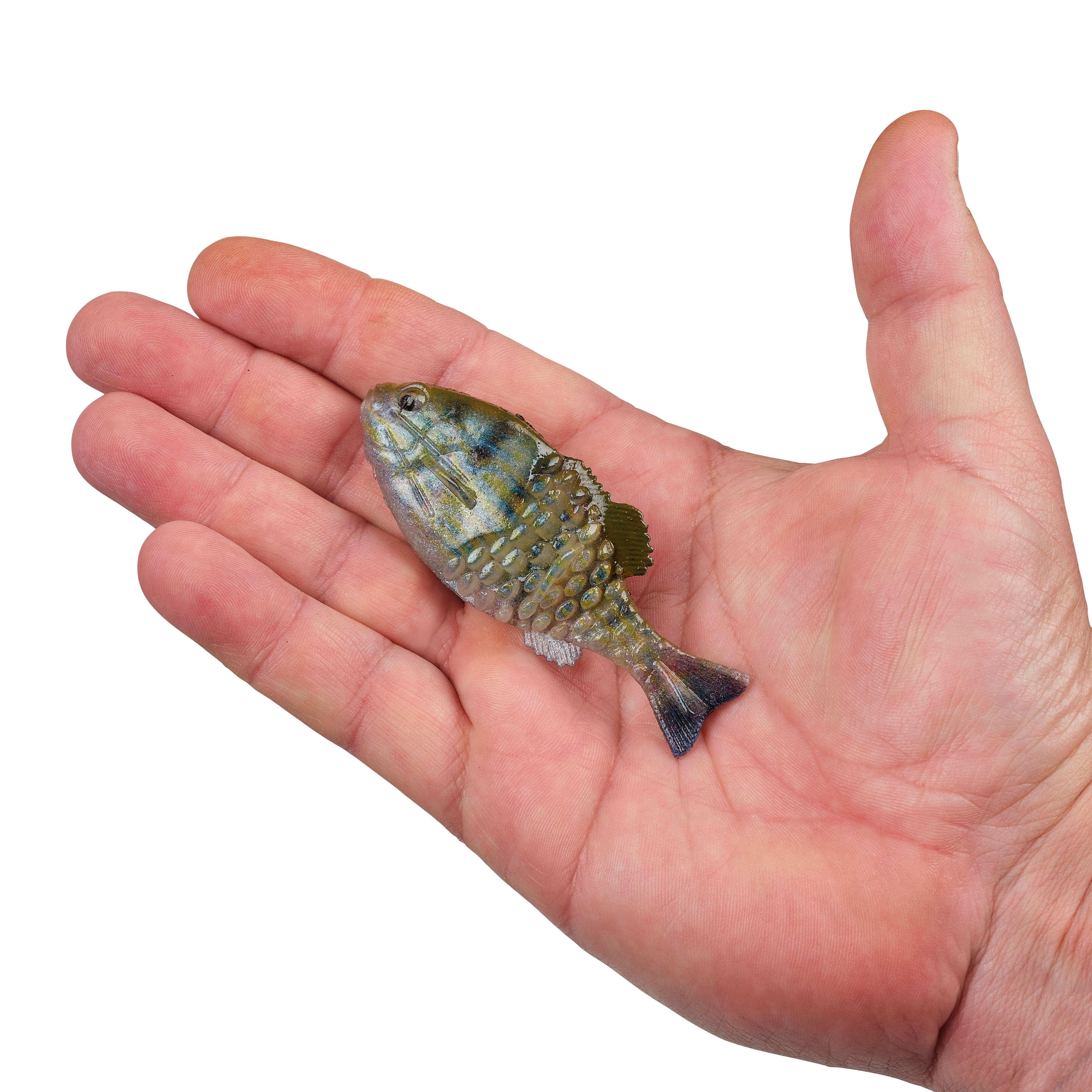 Berkley PowerBait Saltwater Gilly, 90 mm, HD Pinfish, Soft Swimbait