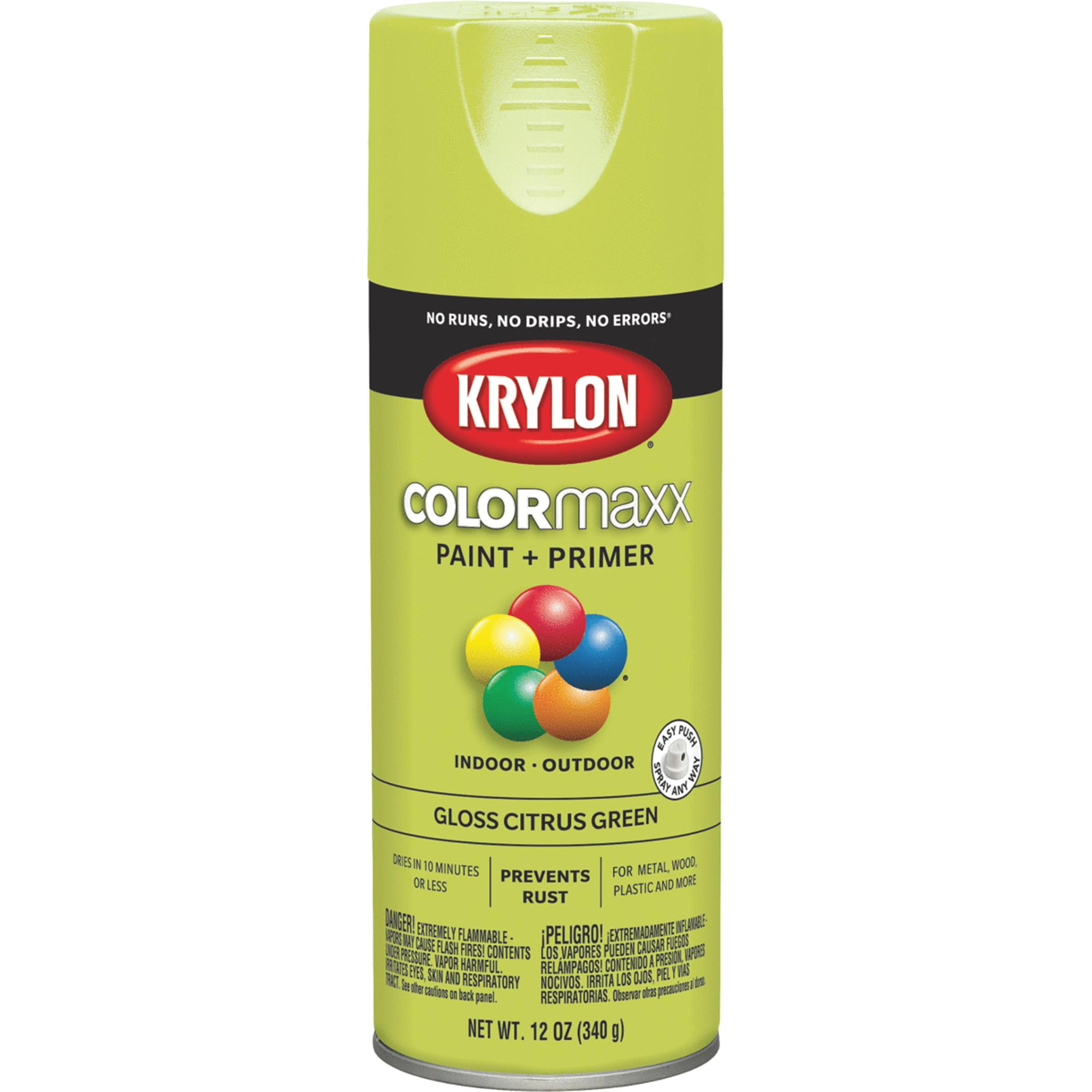 Krylon ColorMaxx Spray Paint