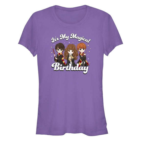 Junior's Harry Potter It’s My Magical Birthday Cute Characters Graphic Tee Purple Small