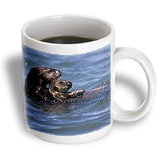 3dRose California Sea Otter, Moss Landing, California - US05 JGS0199 - Jim Goldstein, Ceramic Mug, 15-ounce