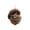 2D - Raccoon, variant on Christmas Animal Acorn Ornament, 2D Realistic Woodland Hanging Ornaments for Christmas Decoration (Raccoon)
